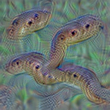 n01748264 Indian cobra, Naja naja